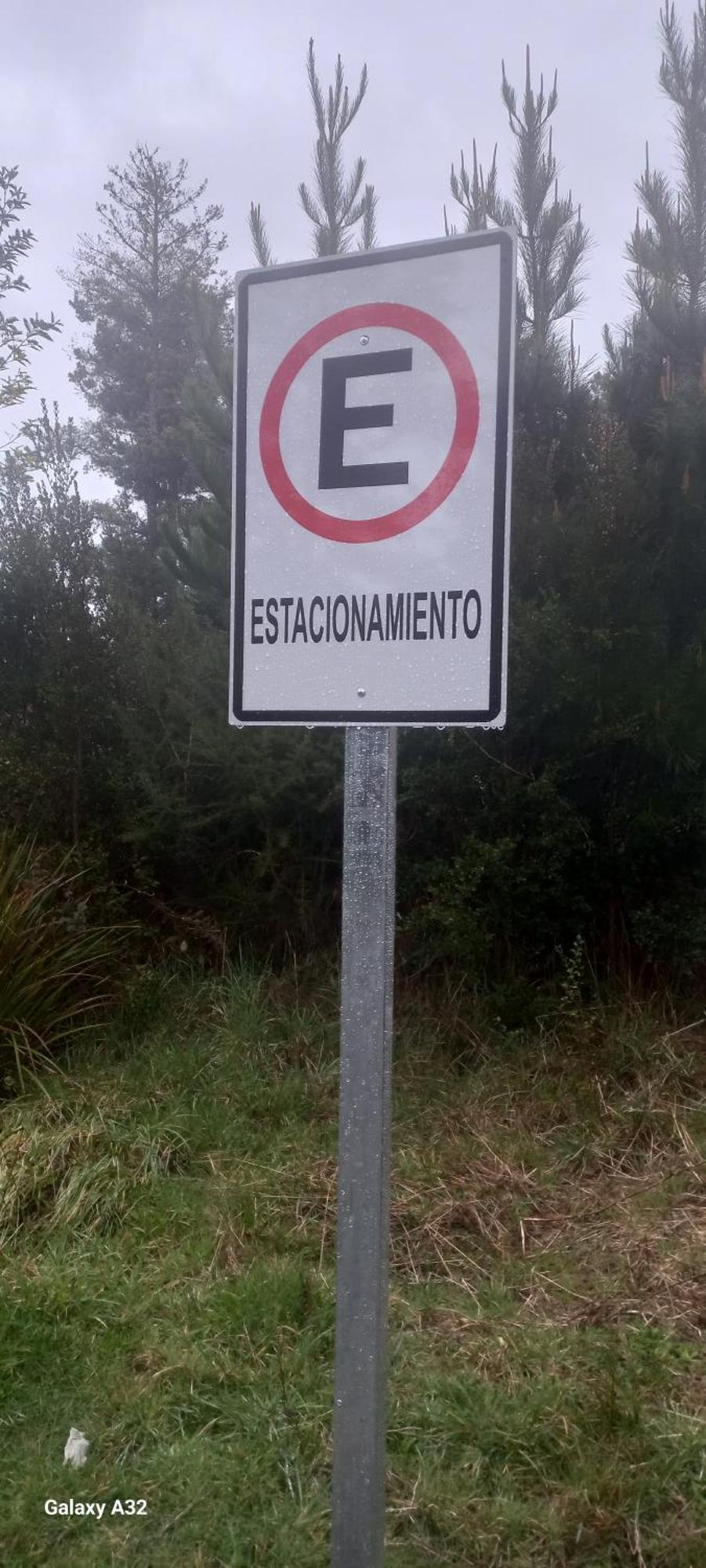 Y Tepual *